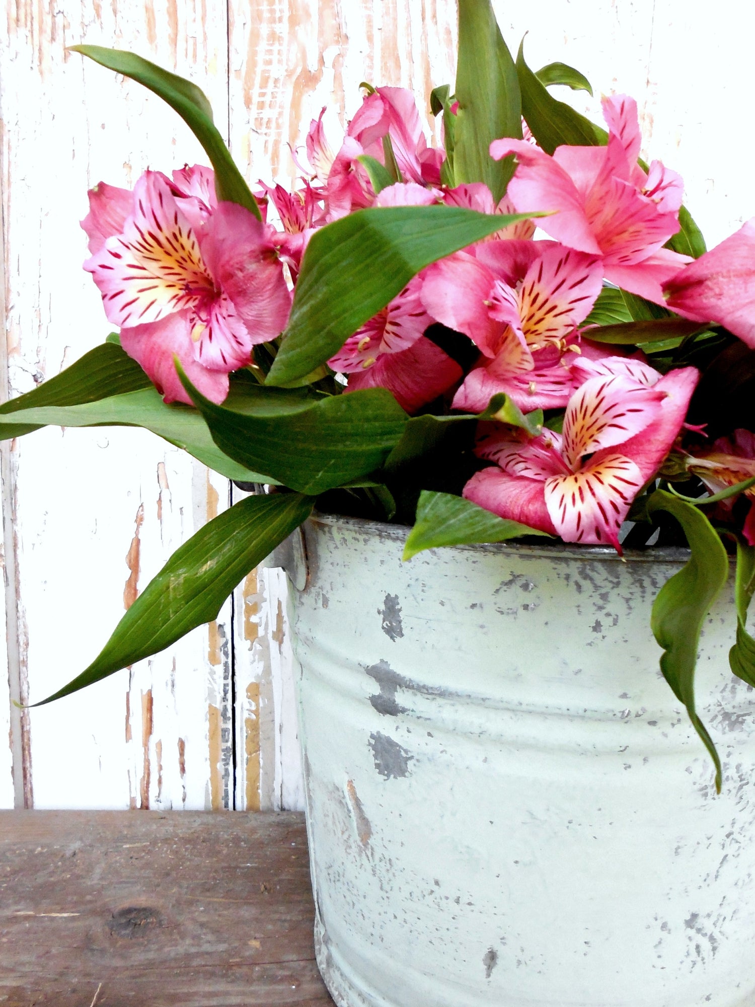 Pantry Door by Sweet Pickins Milk Paint