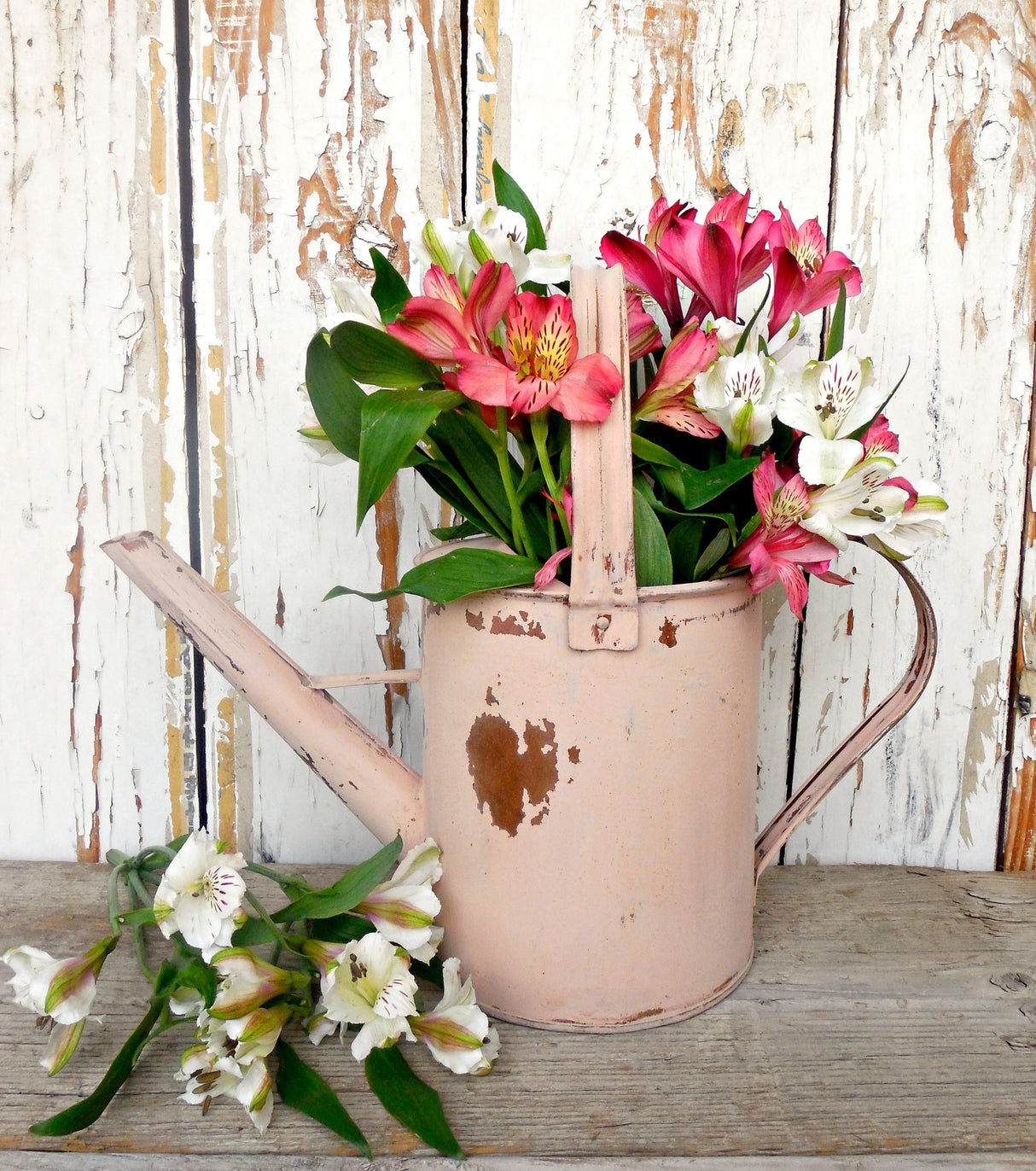 Tickled Pink by Sweet Pickins Milk Paint