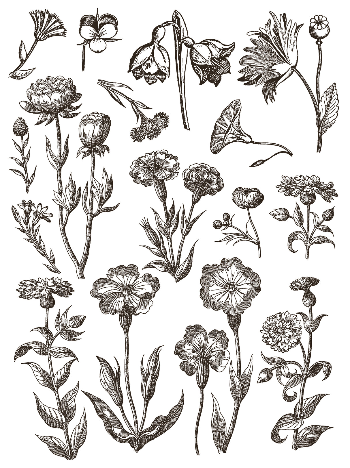 Floriography IOD Paint Inlay