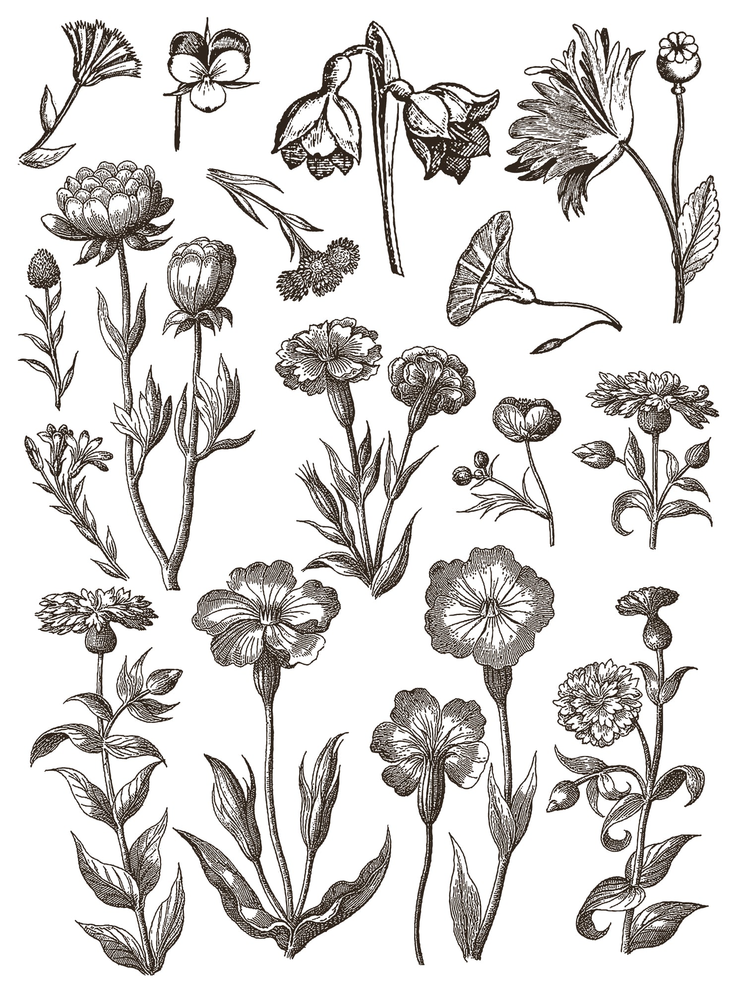 Floriography IOD Paint Inlay