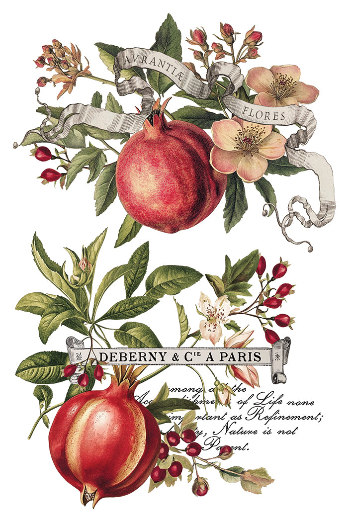 Clementine IOD Transfer