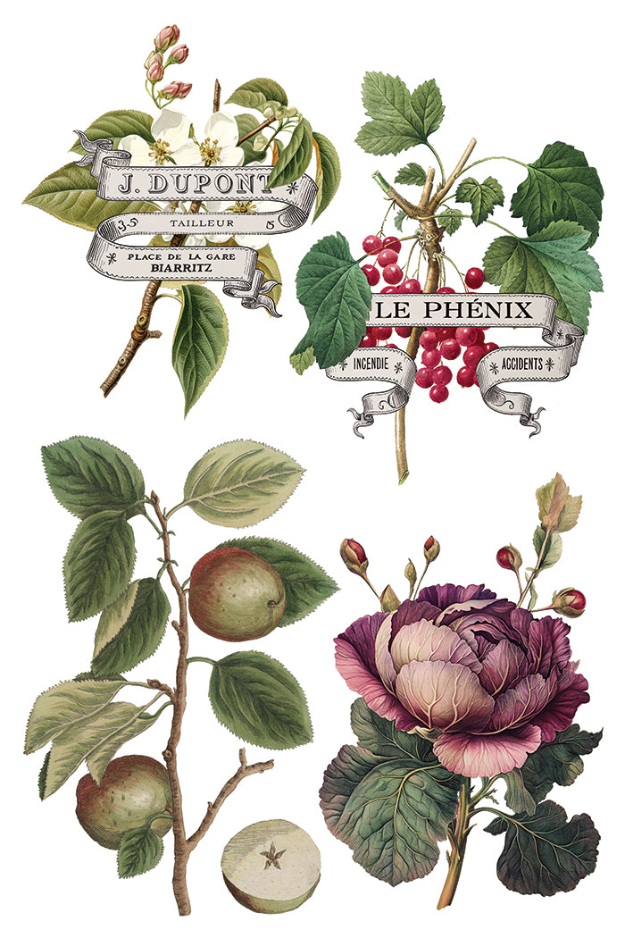 Clementine IOD Transfer