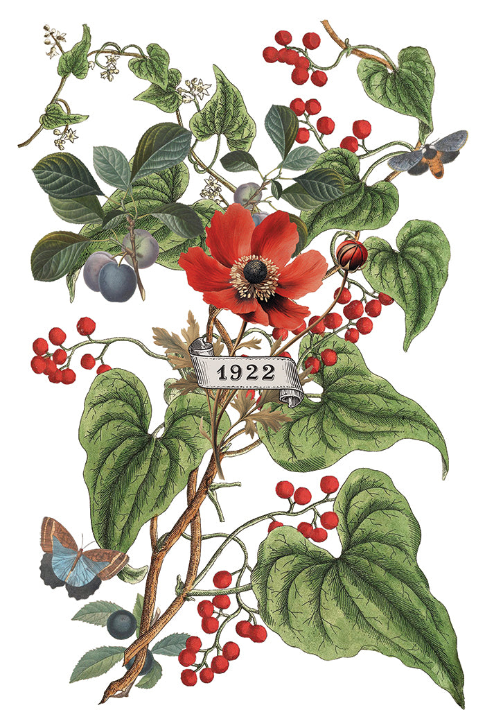 Clementine IOD Transfer