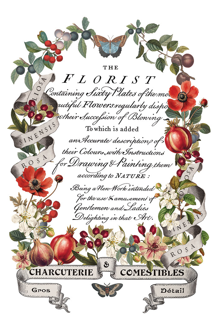 Clementine IOD Transfer