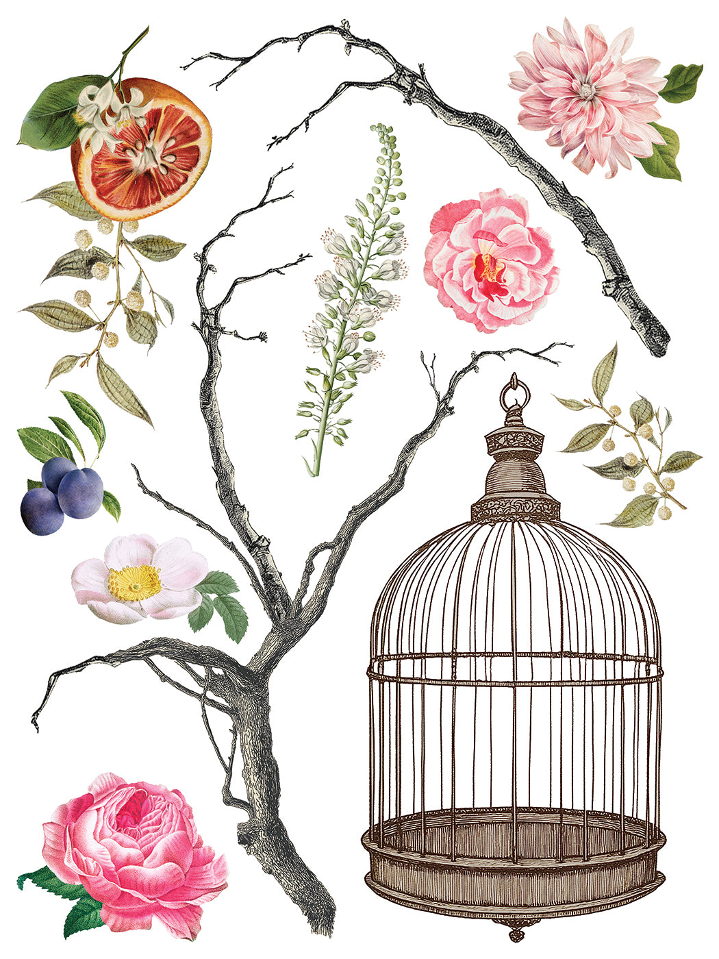 Menagerie IOD Transfer