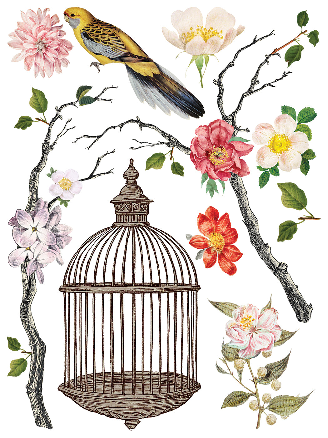 Menagerie IOD Transfer