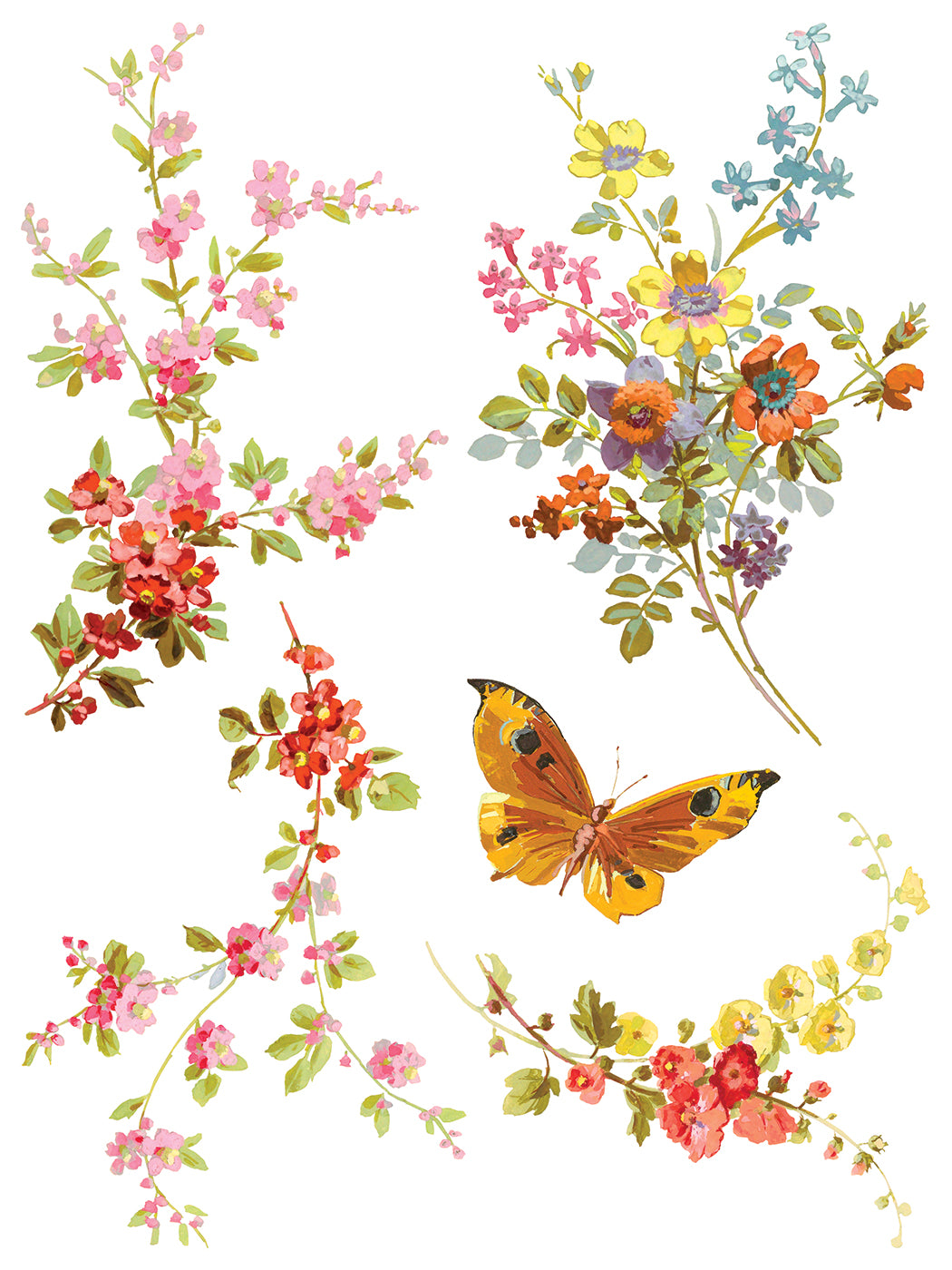 Saint Germain IOD Transfer