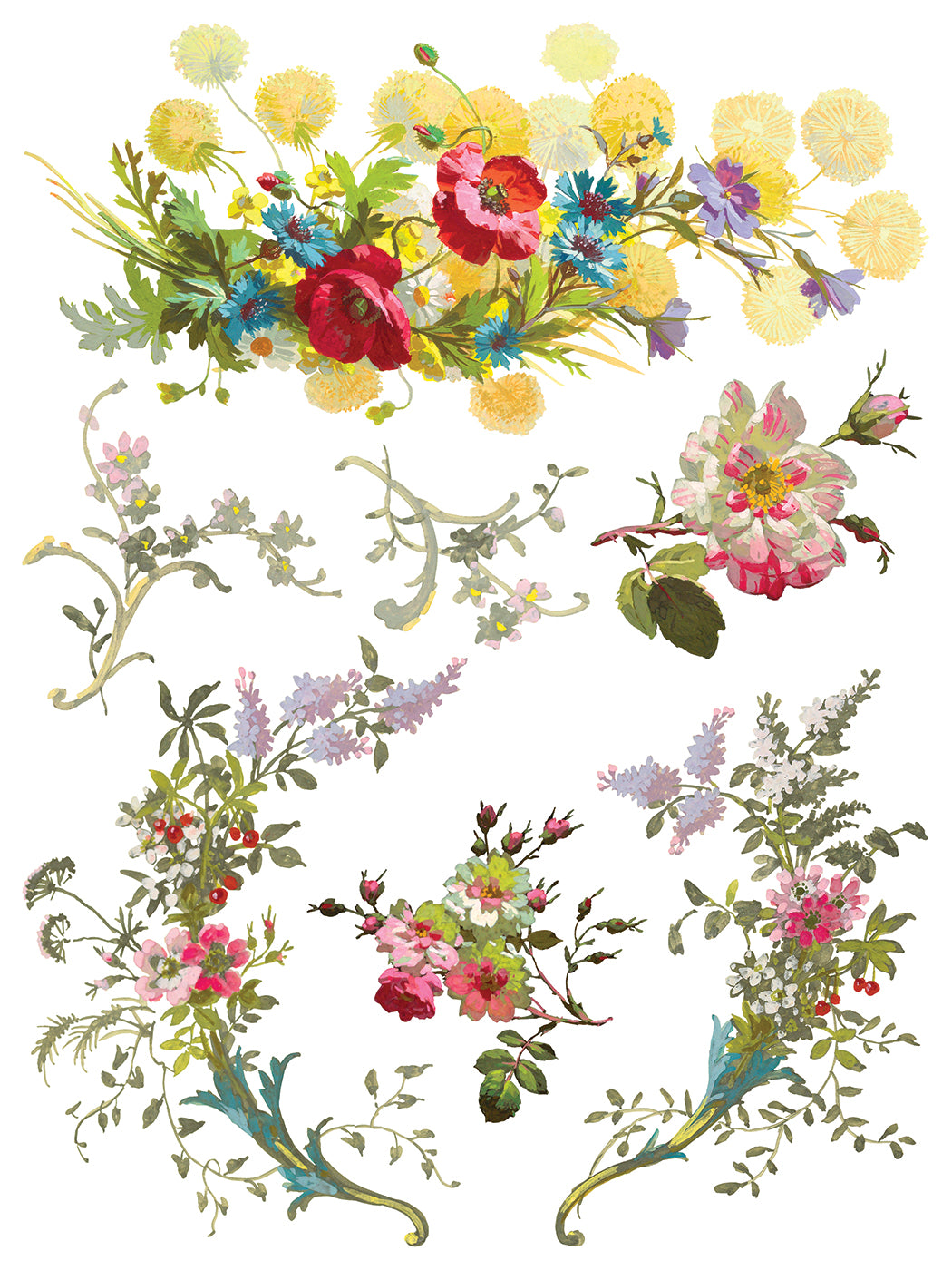 Saint Germain IOD Transfer