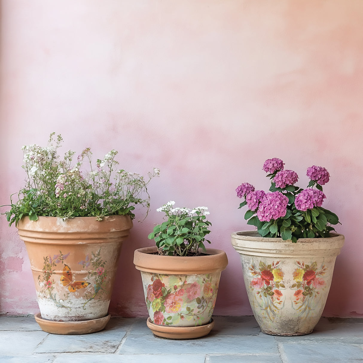 Saint Germain IOD Transfer