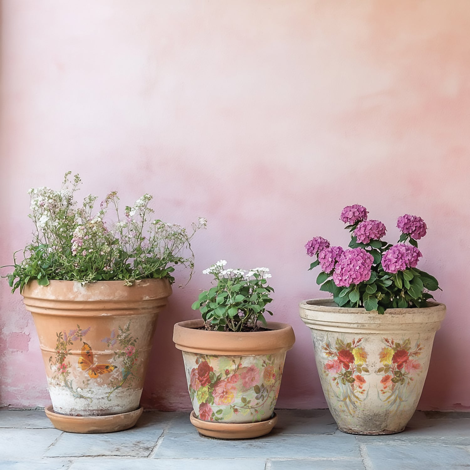 Saint Germain IOD Transfer