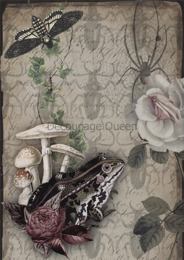 Decoupage Queen Dainty and the Queen - Diary Entries