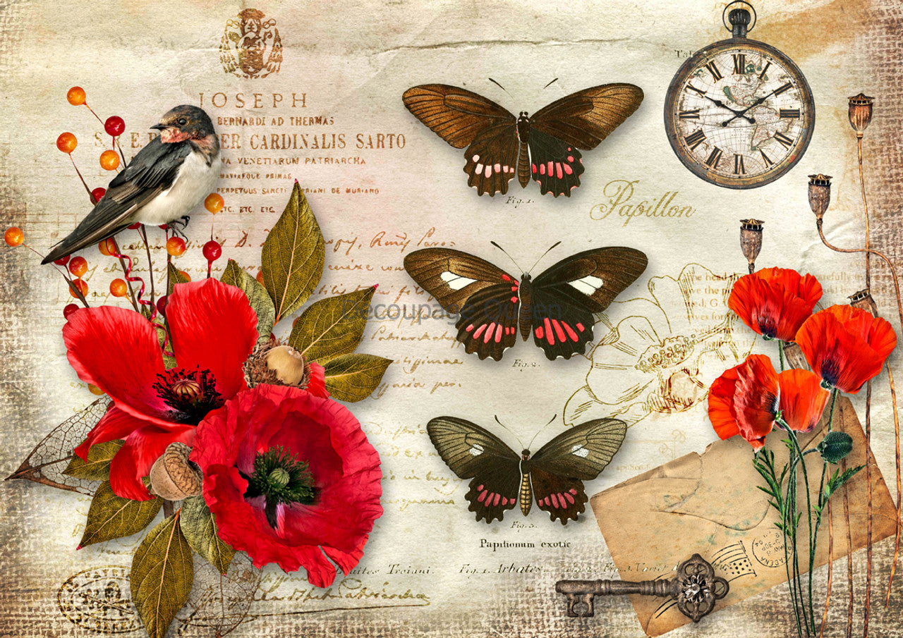 Decoupage Queen Papillon Poppies
