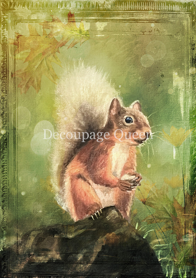Decoupage Queen Teresa Rene Art Woodland Squirrel Rice Paper