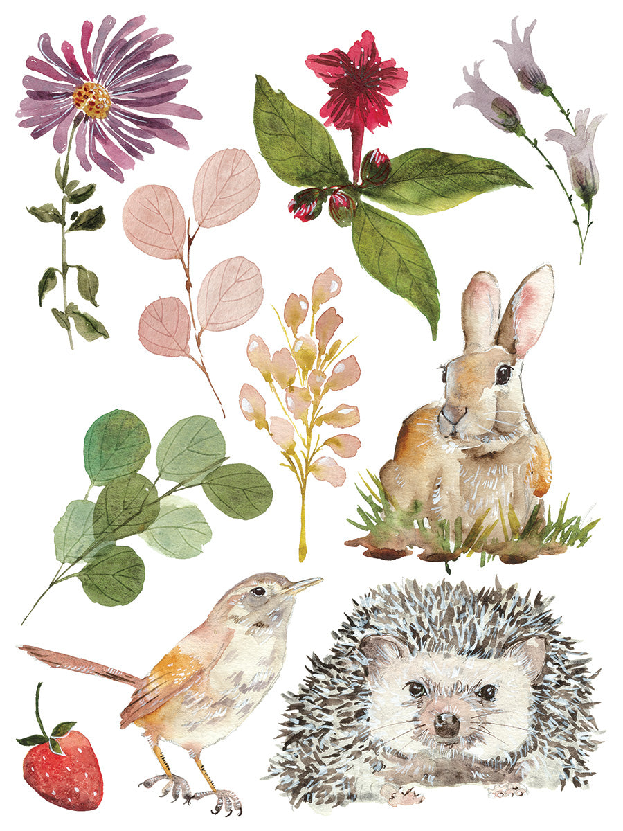 Whispering Willow IOD Transfer