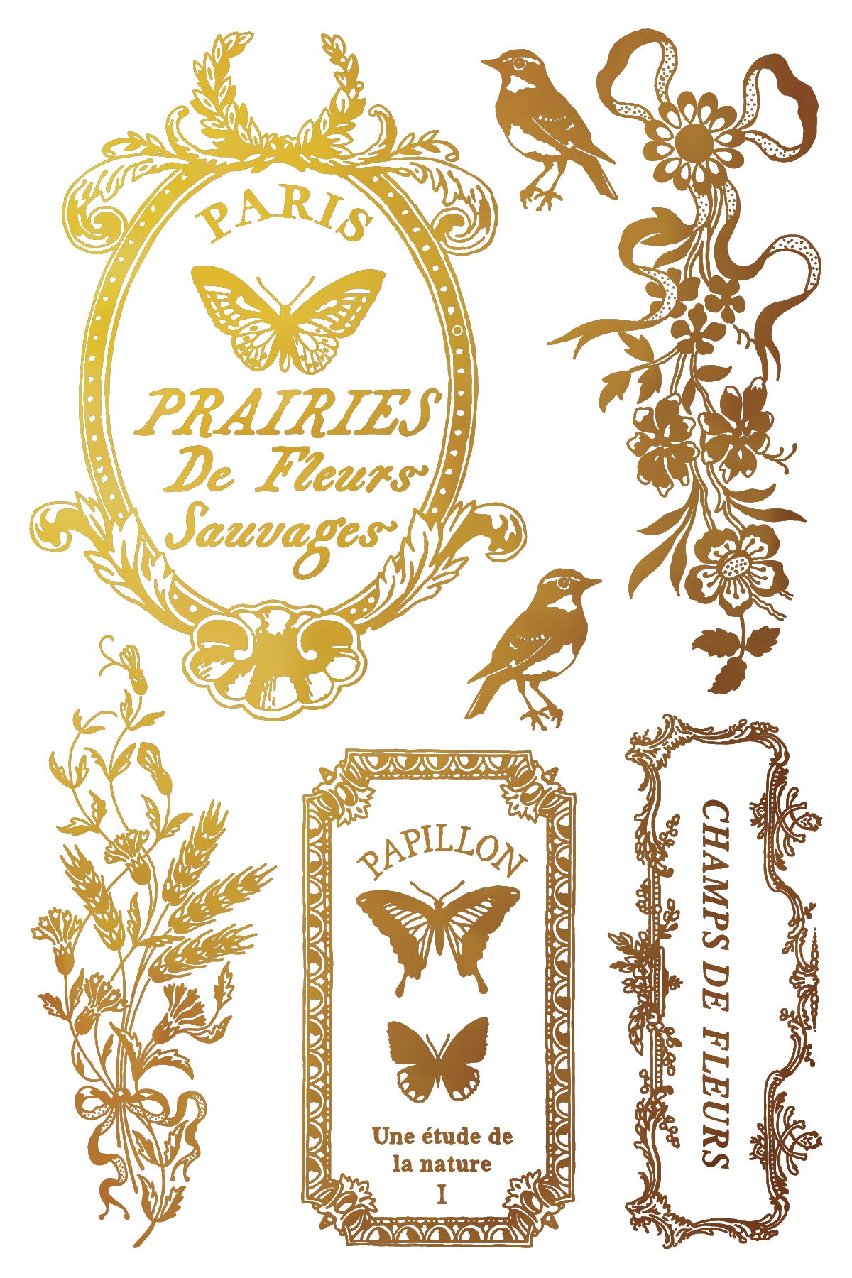 Papillon IOD Foil Transfer