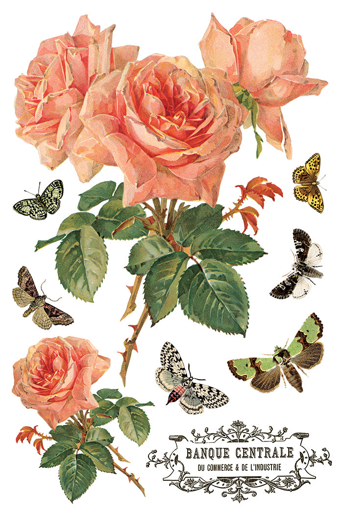 By Any Other Name IOD Decor Transfer