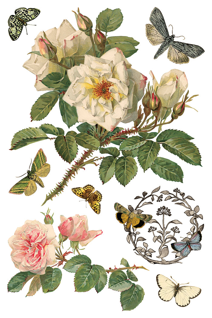 By Any Other Name IOD Decor Transfer