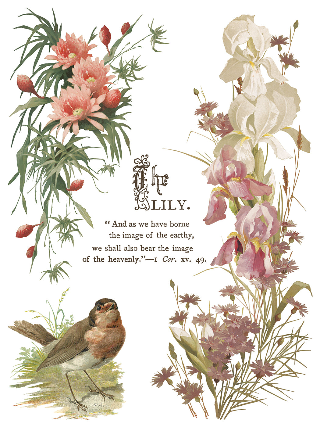 Flowers by the Poets IOD Transfer
