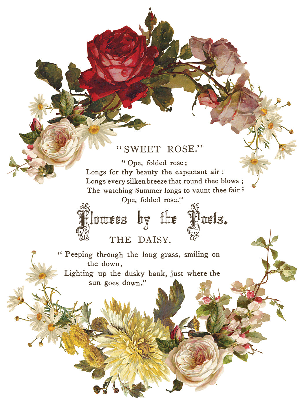 Flowers by the Poets IOD Transfer