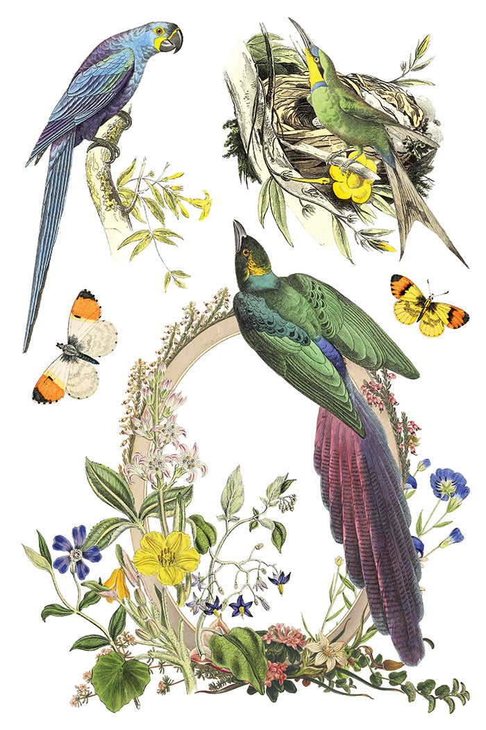 Flora Graca IOD Decor Transfer