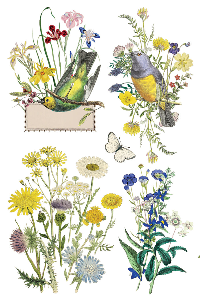 Flora Graca IOD Decor Transfer