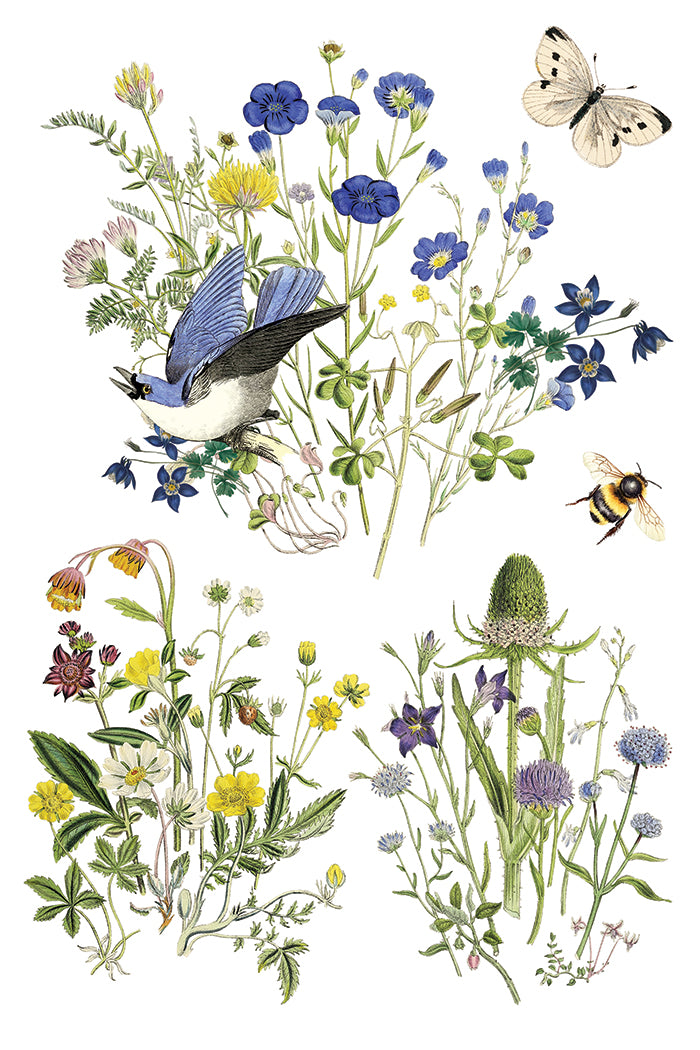 Flora Graca IOD Decor Transfer