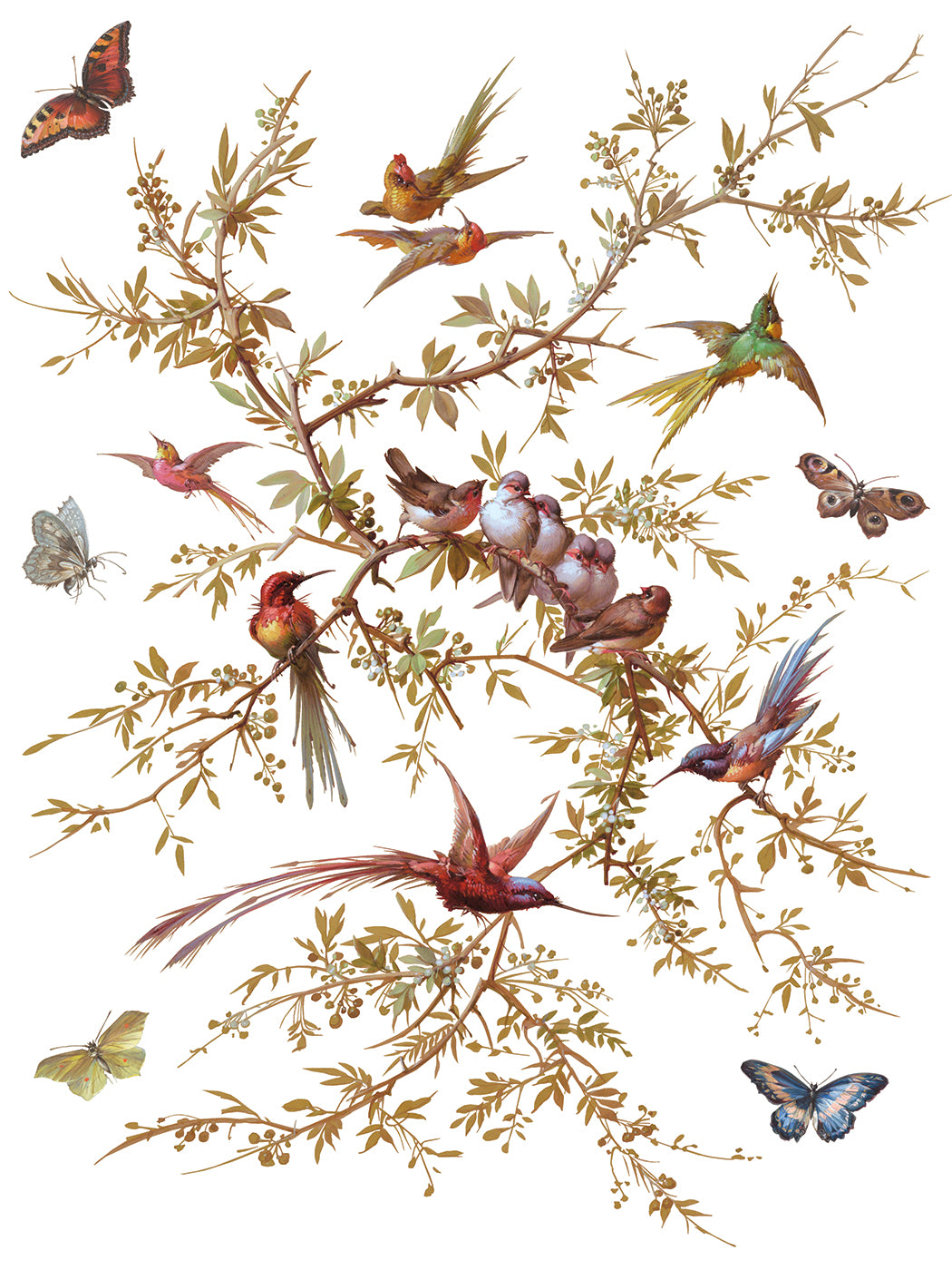 Madeleine IOD Transfer