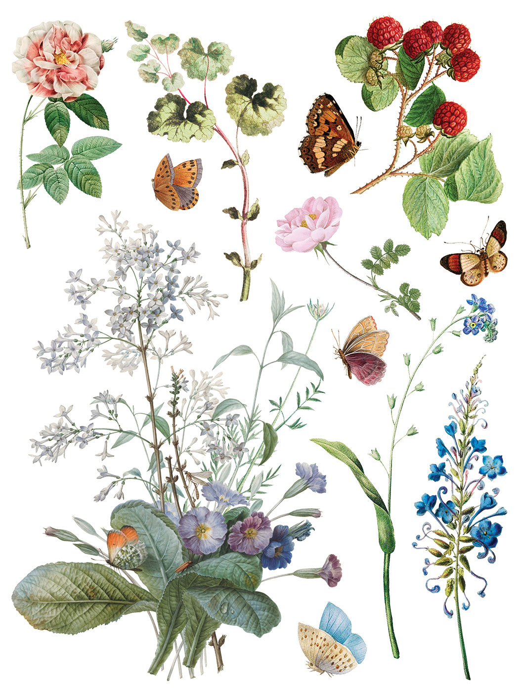 Marché des Fleurs IOD Transfer