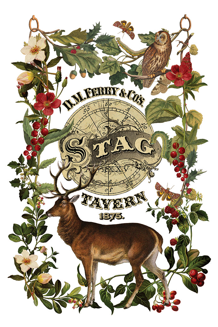 Stag Tavern IOD Transfer