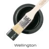 Wellinton - Fusion Mineral Paint