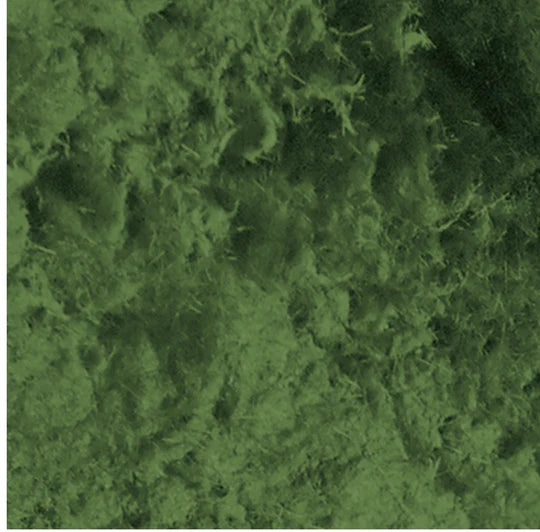 Pentart Moss Effect Paste - 3 D Effects