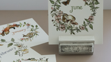 The Bramblewood Diaries IOD Transfer