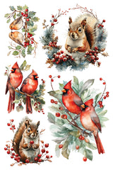 Yuletide IOD Transfer