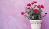 Ditsy Blooms IOD Paint Inlay