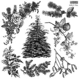 Holly & Pine IOD Decor Stamp