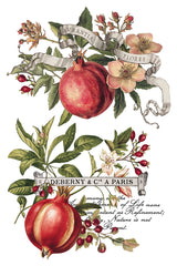 Clementine IOD Transfer