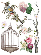 Menagerie IOD Transfer