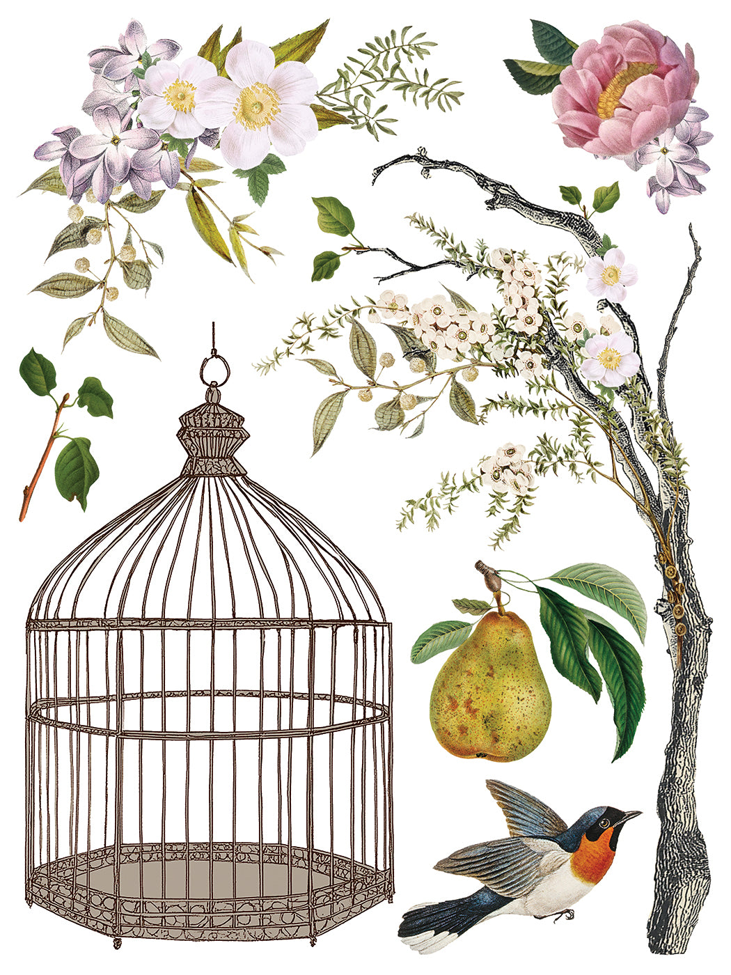 Menagerie IOD Transfer
