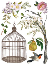 Menagerie IOD Transfer
