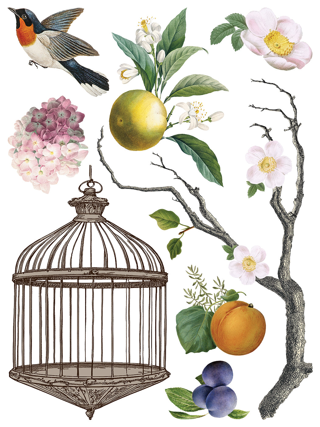 Menagerie IOD Transfer