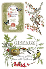 Winter Botanist IOD Transfer