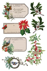 Winter Botanist IOD Transfer