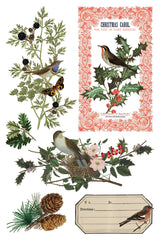 Winter Botanist IOD Transfer