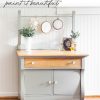 Eucalyptus - Fusion Mineral Paint