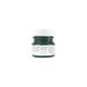 Pressed Fern - Fusion Mineral Paint