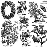 Nature’s Etchings IOD Decor Stamp