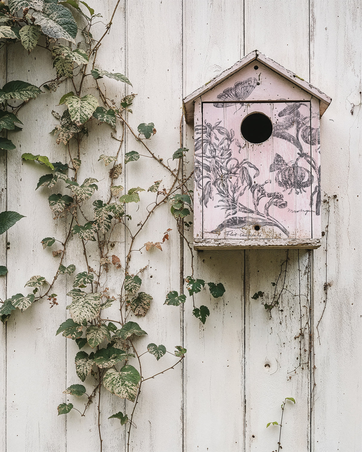 Nature’s Etchings IOD Decor Stamp