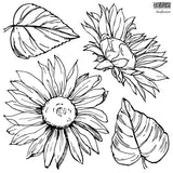 Sunflowers IOD Decor Stamp