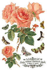 By Any Other Name IOD Decor Transfer