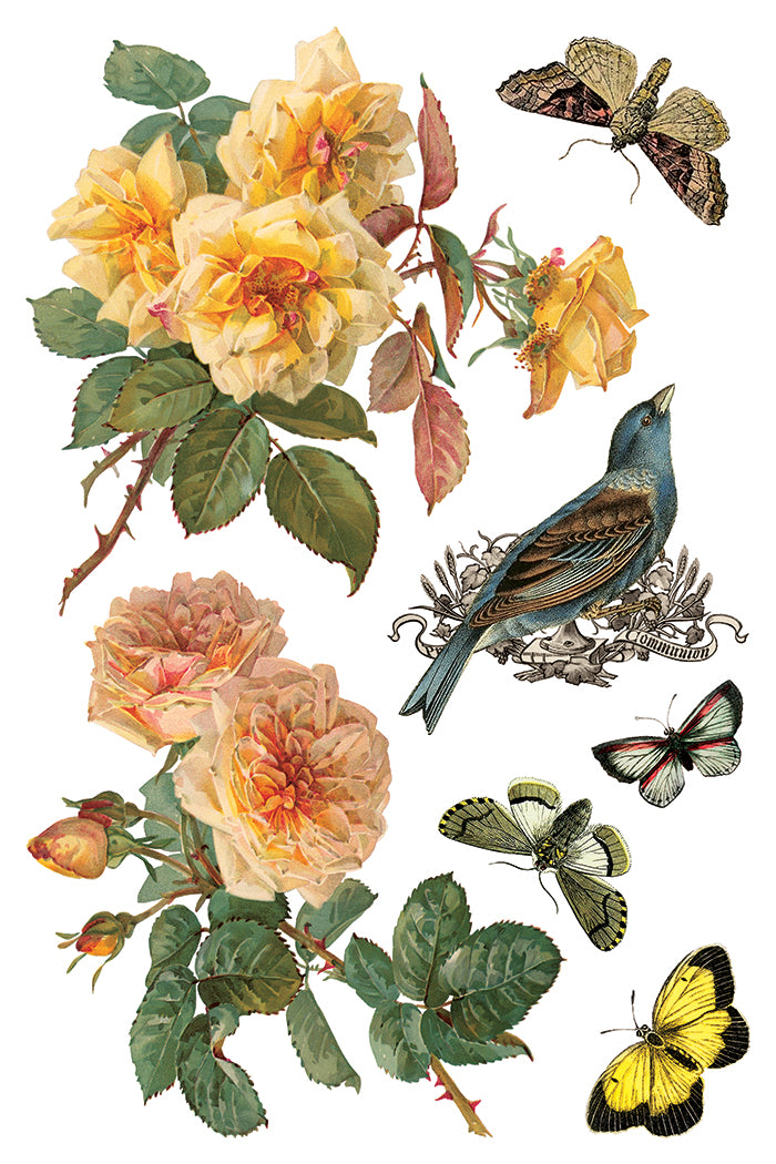 By Any Other Name IOD Decor Transfer